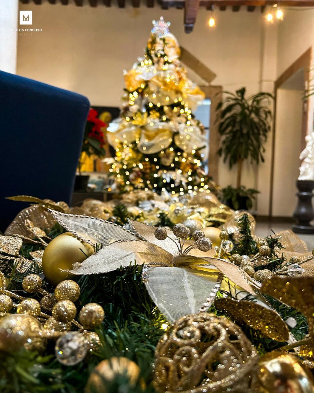 M Hoteles Concepto Morelia Zewnętrze zdjęcie